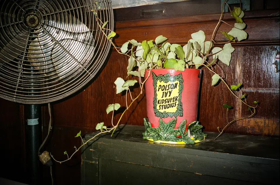 Poison Ivy KidSuper Studios planter trailing ivy under a fan